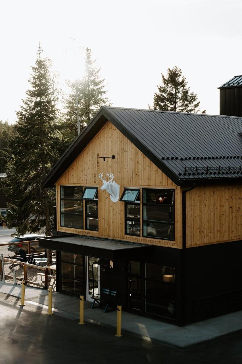 ホテル Gravity Haus ウィンターパーク エクステリア 写真