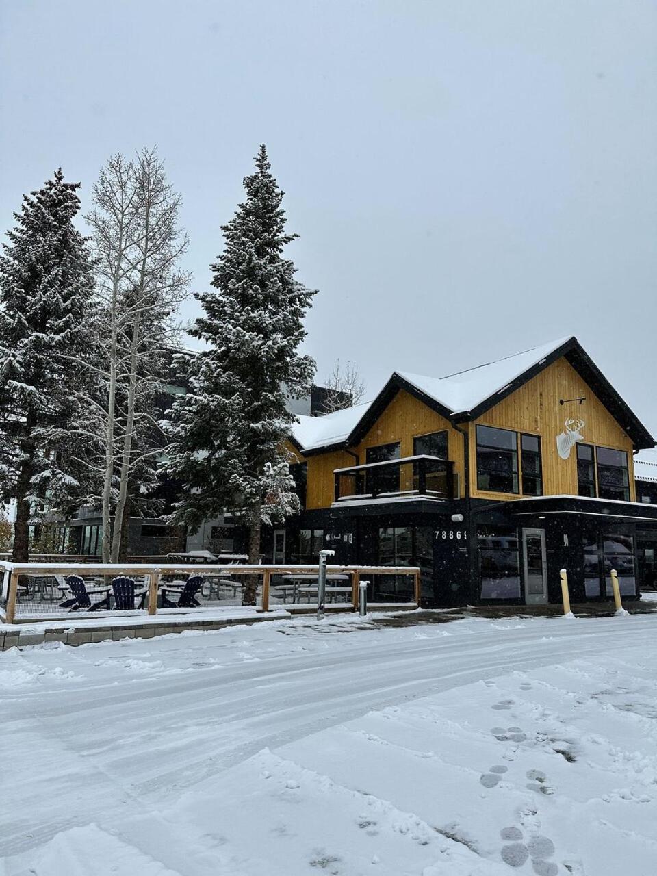 ホテル Gravity Haus ウィンターパーク エクステリア 写真